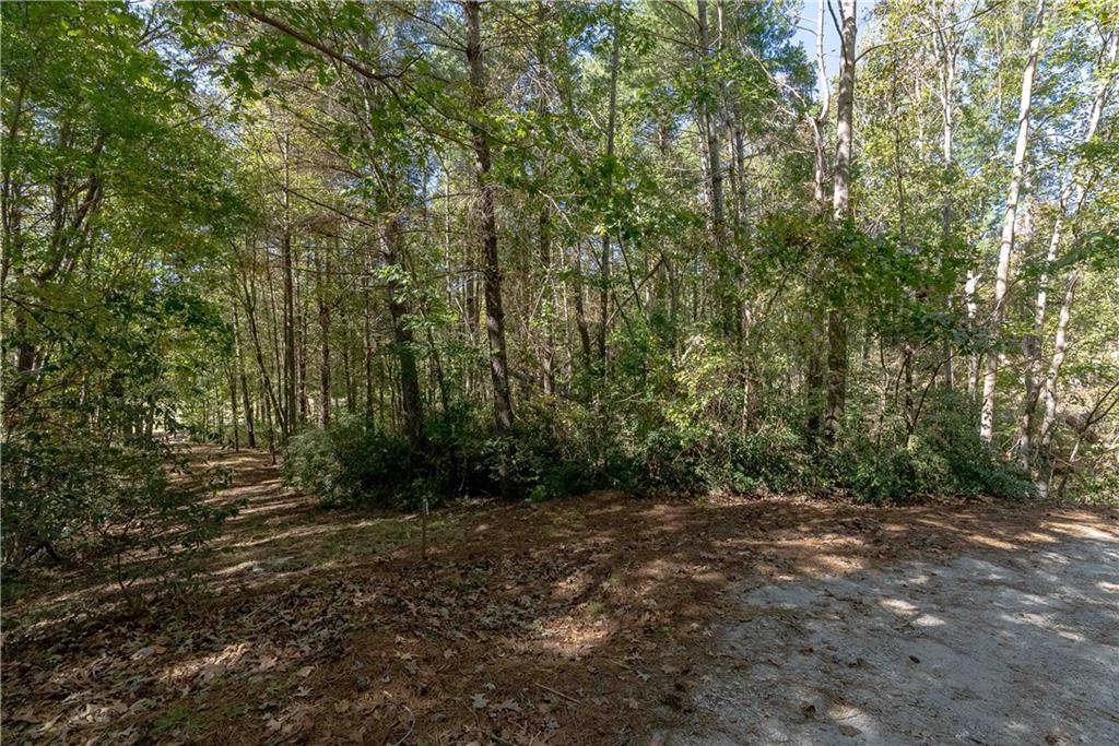 122 Club Cove Way, Sunset, South Carolina image 16