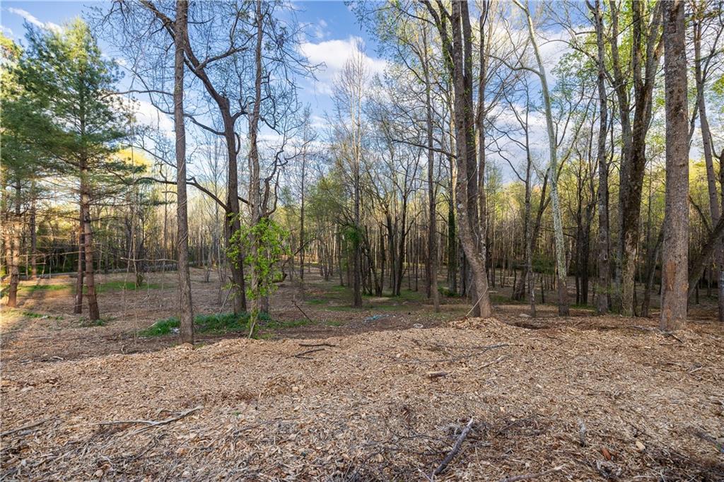 4637 Howe Road, Greer, South Carolina image 19