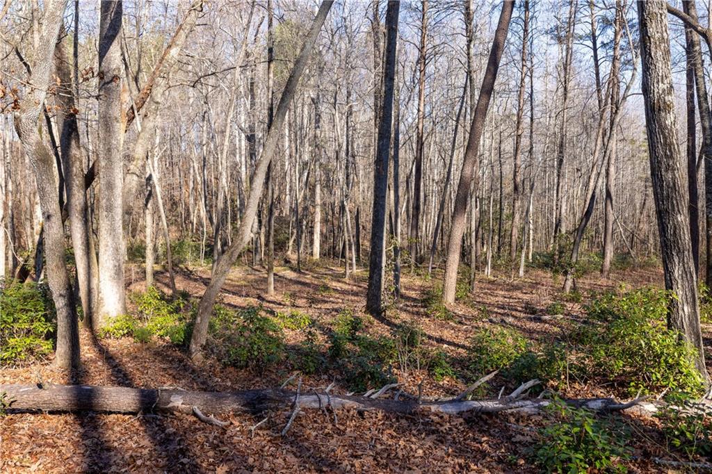 4637 Howe Road, Greer, South Carolina image 9