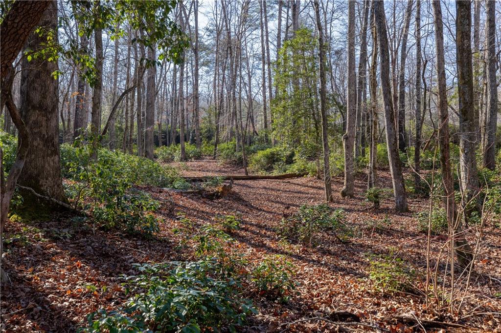 4637 Howe Road, Greer, South Carolina image 7