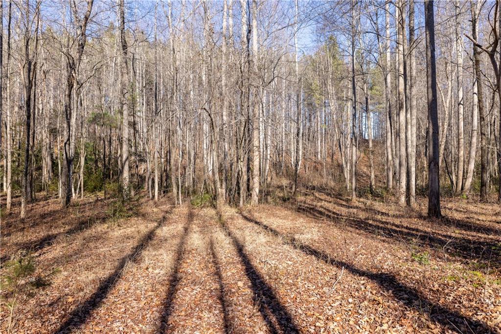 4637 Howe Road, Greer, South Carolina image 6