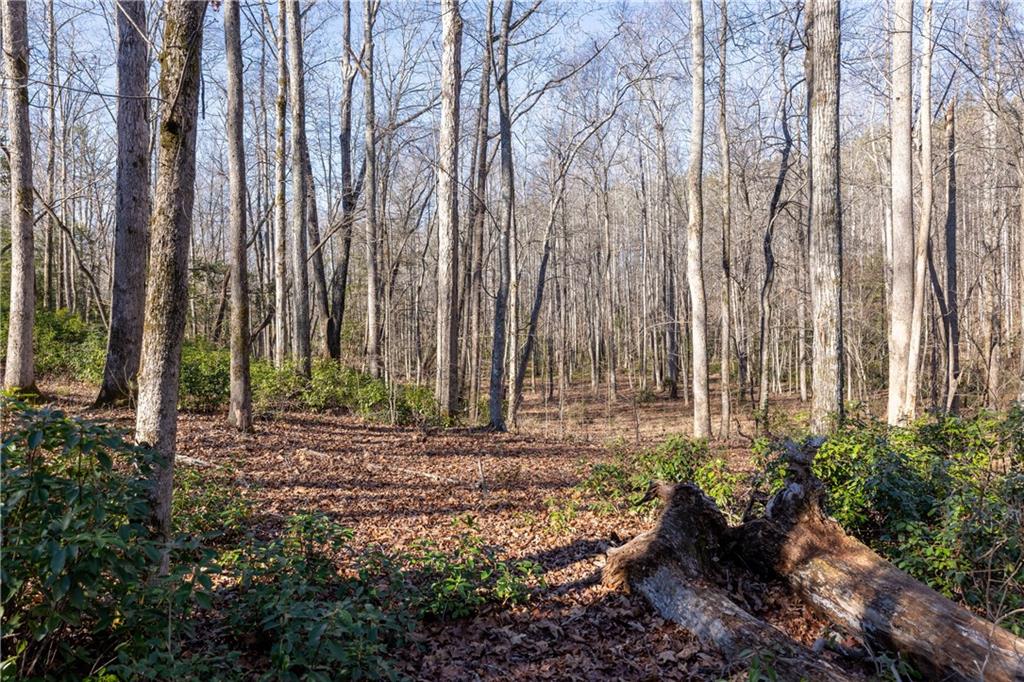 4637 Howe Road, Greer, South Carolina image 8