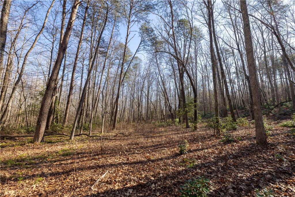 4637 Howe Road, Greer, South Carolina image 10