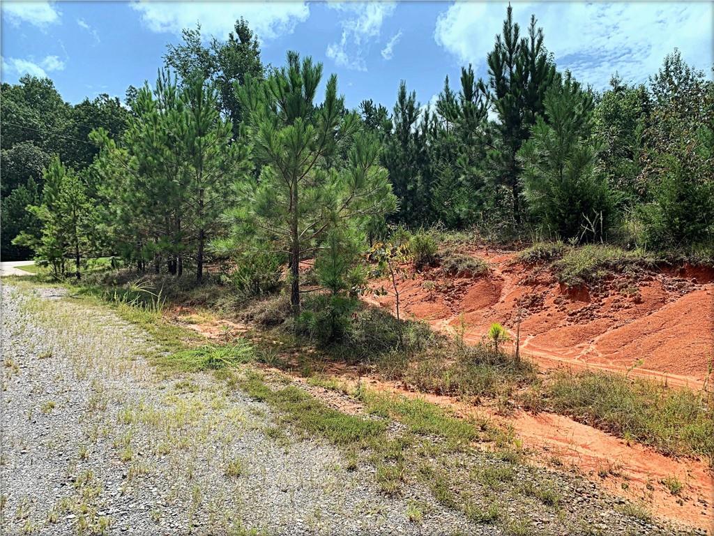 00 Osprey Way, Iva, South Carolina image 3