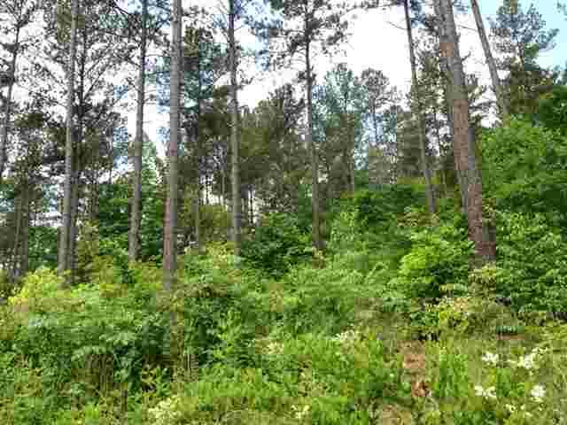 Photo 6 of 11 of Lot 59 Four Pointes N Natures View Drive land