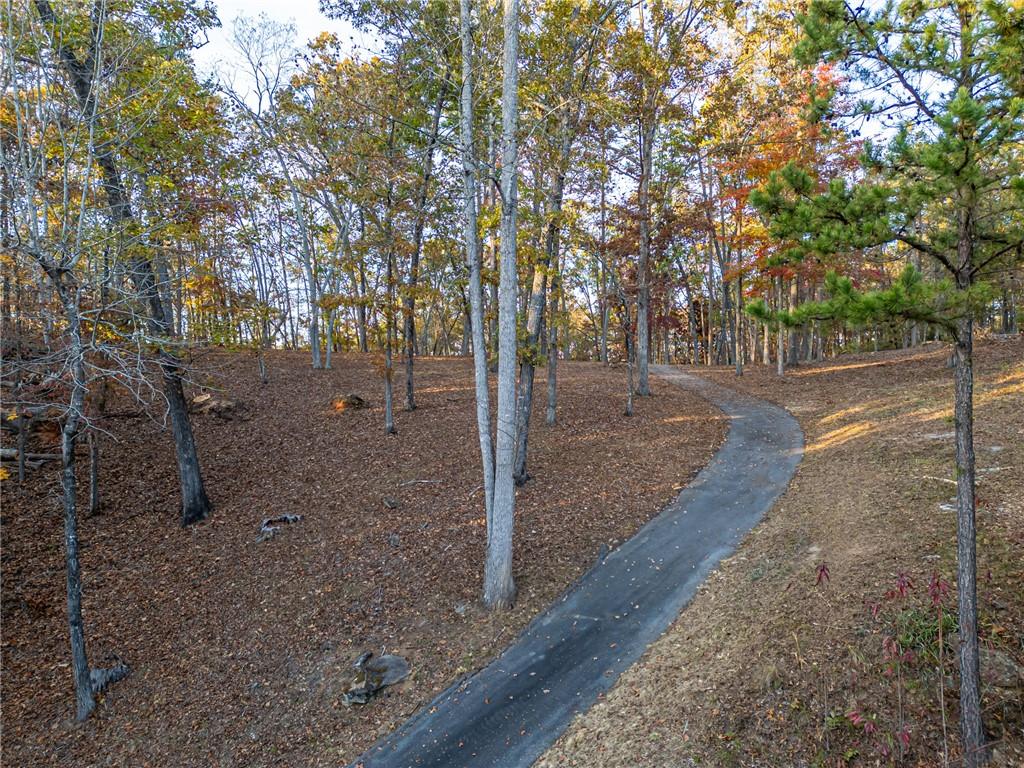147 Falls Road, Sunset, South Carolina image 2