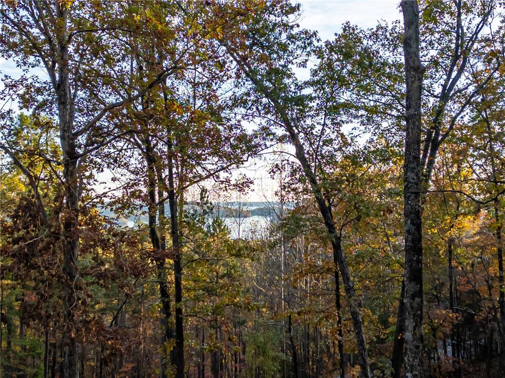 147 Falls Road, Sunset, South Carolina image 5
