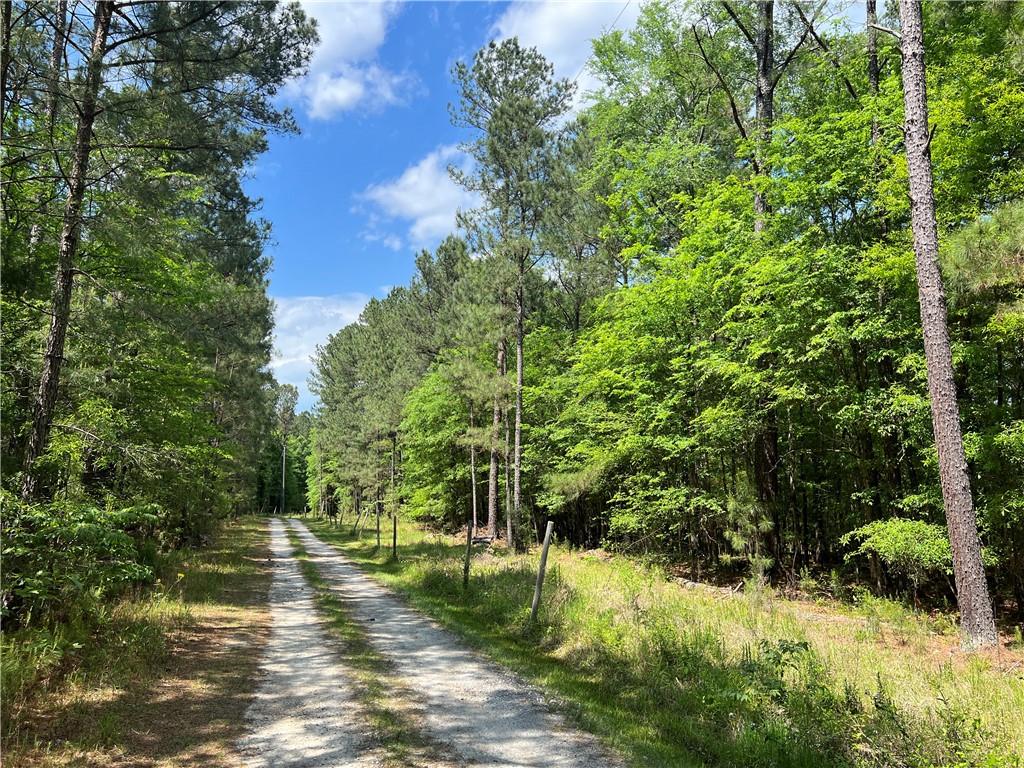 1717 Sc 283 Highway, Plum Branch, South Carolina image 3