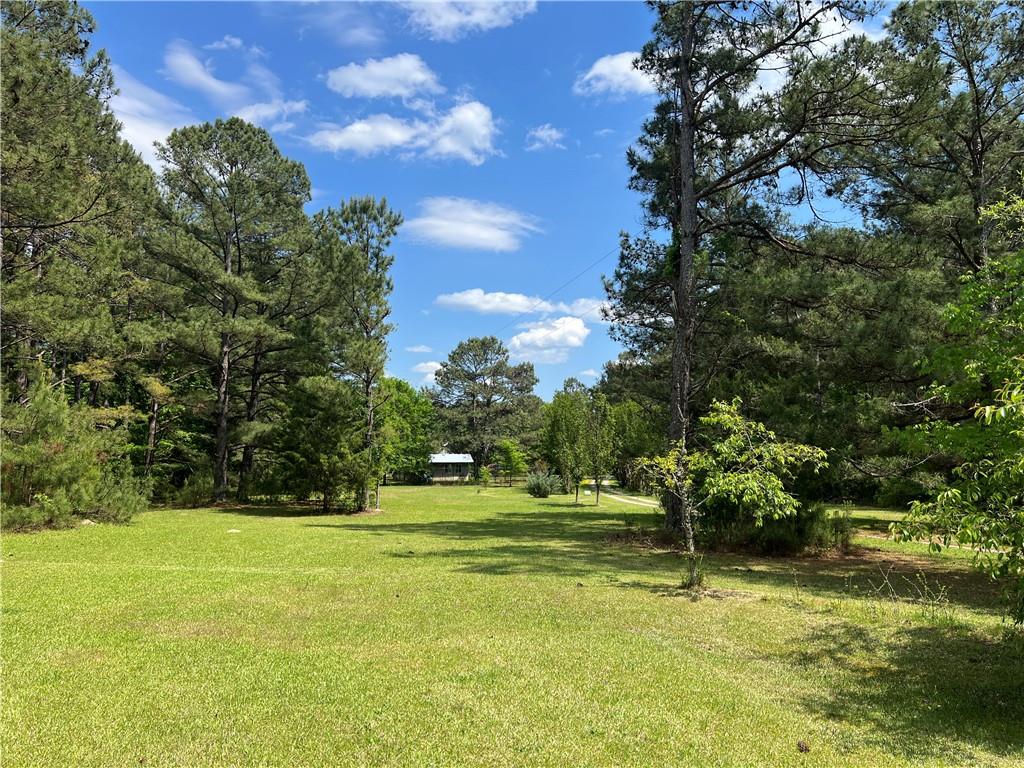 1717 Sc 283 Highway, Plum Branch, South Carolina image 5