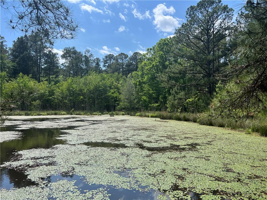 1717 Sc 283 Highway, Plum Branch, South Carolina image 15