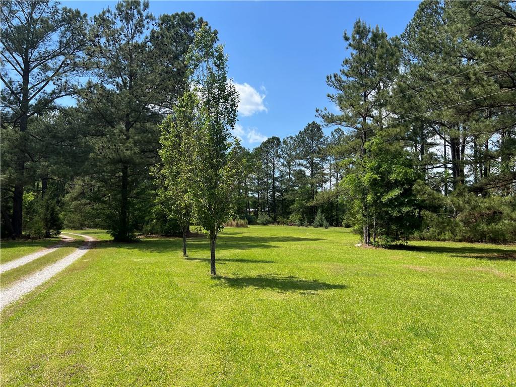 1717 Sc 283 Highway, Plum Branch, South Carolina image 7