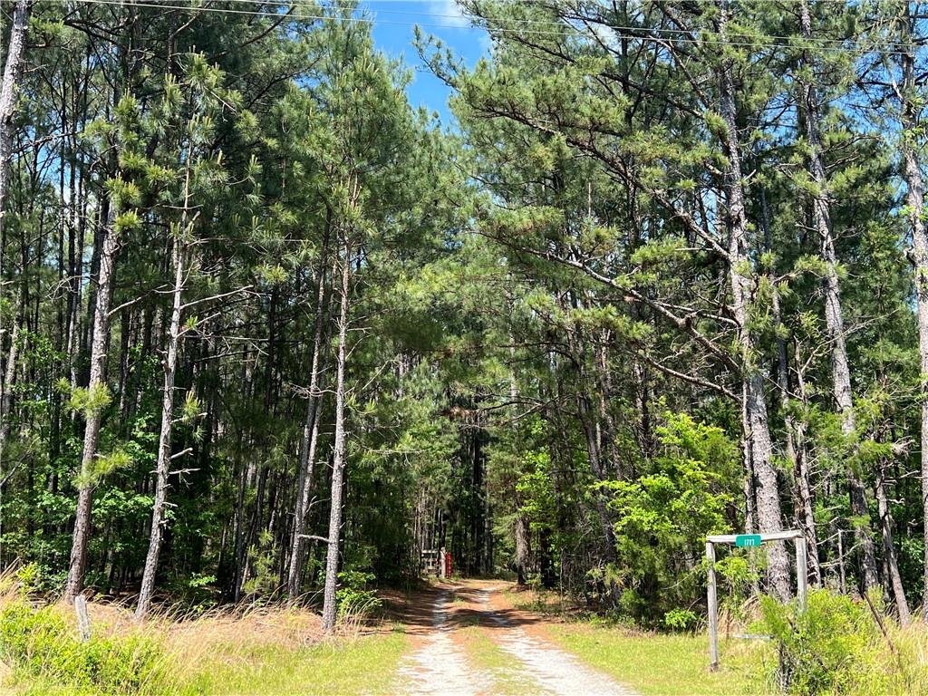 1717 Sc 283 Highway, Plum Branch, South Carolina image 1