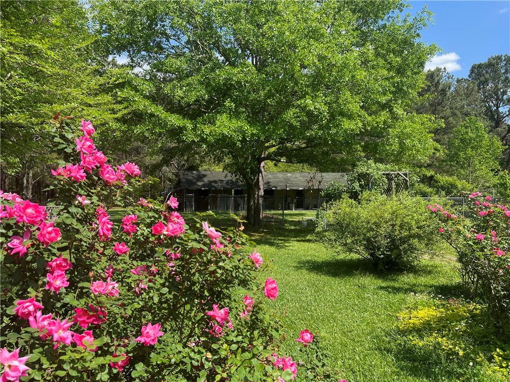 1717 Sc 283 Highway, Plum Branch, South Carolina image 24