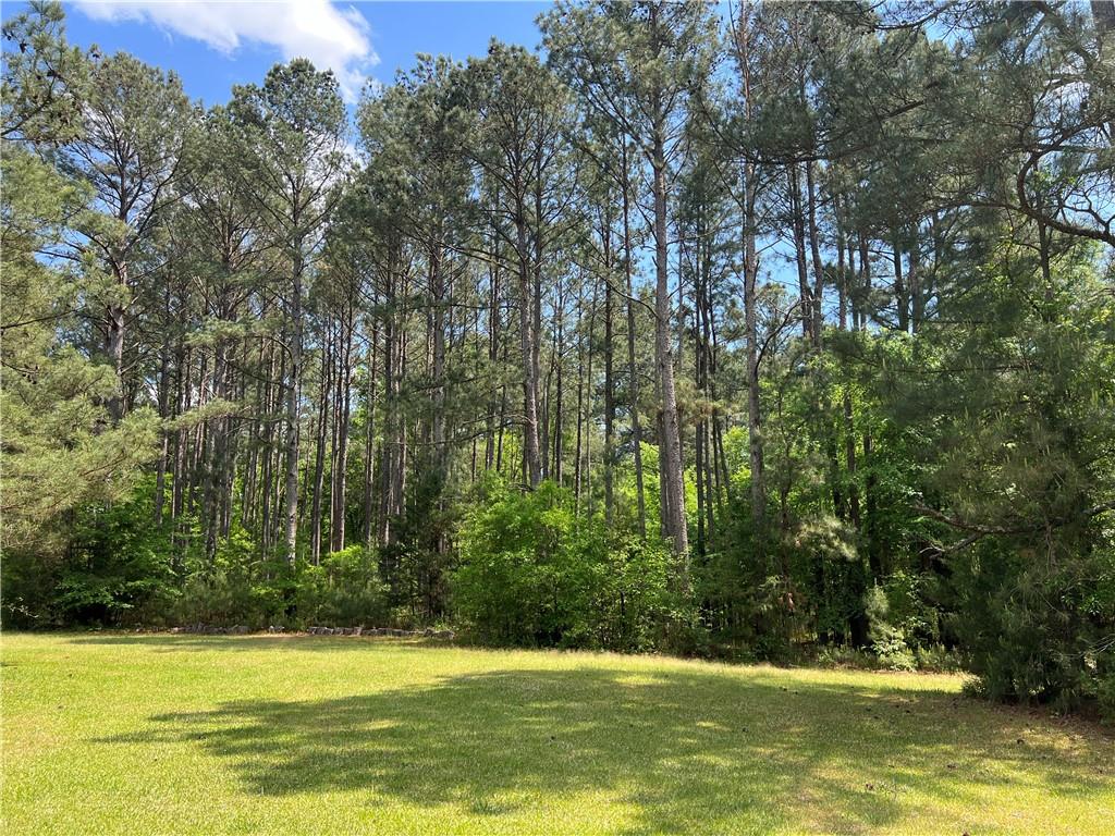 1717 Sc 283 Highway, Plum Branch, South Carolina image 6