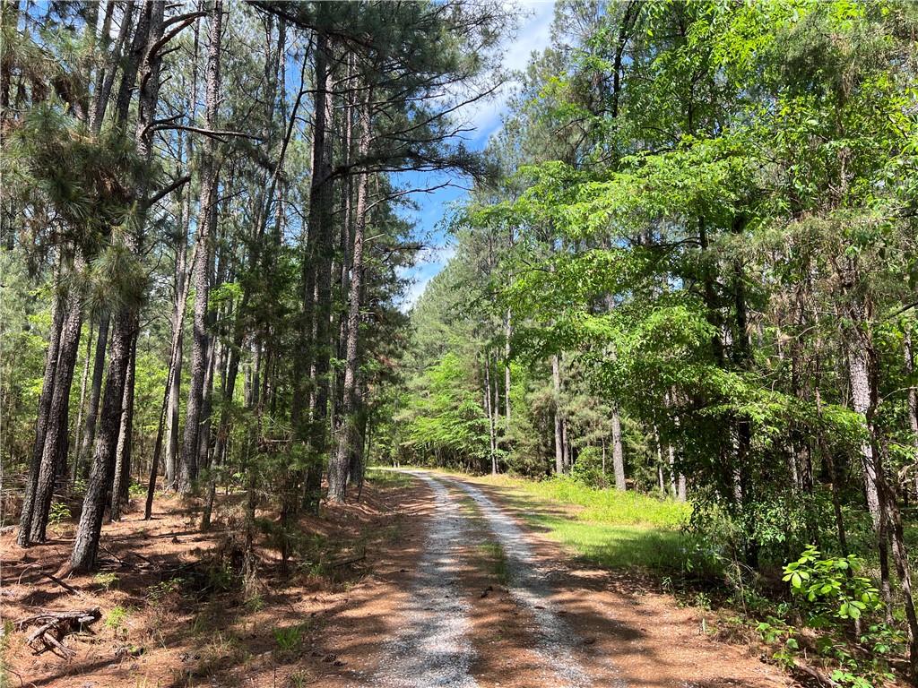 1717 Sc 283 Highway, Plum Branch, South Carolina image 2