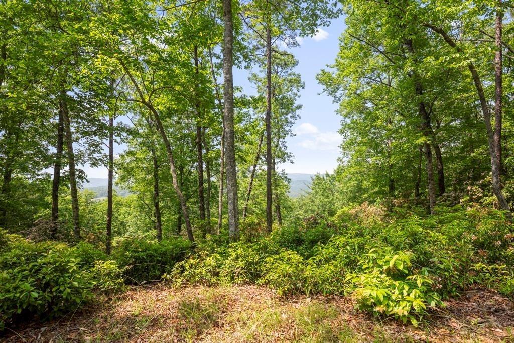 113 White Tree Ridge, Sunset, South Carolina image 14