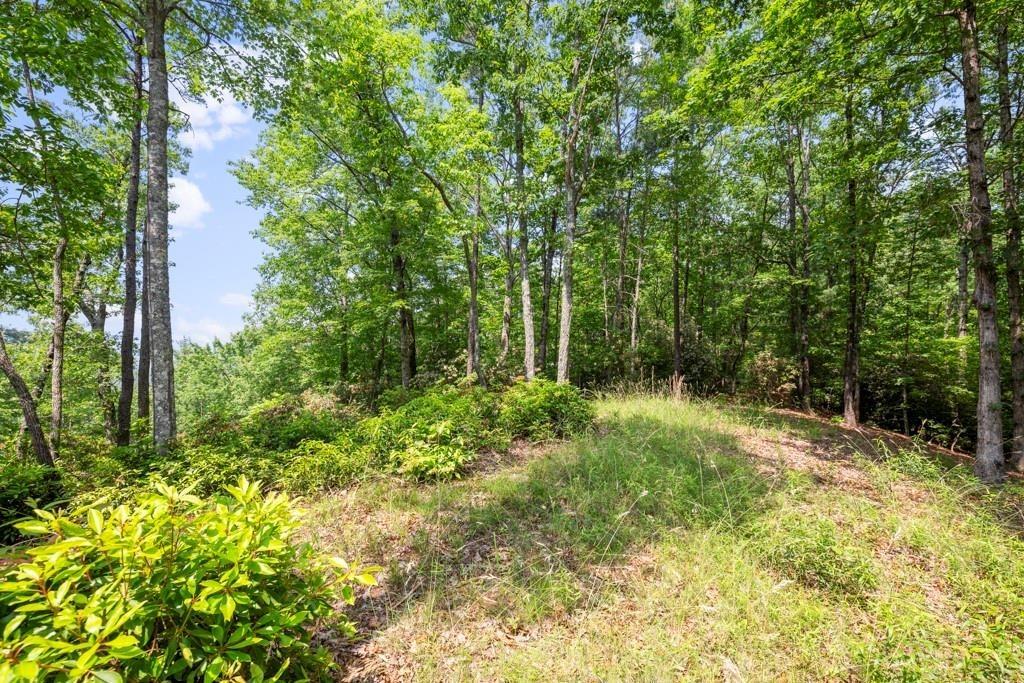 113 White Tree Ridge, Sunset, South Carolina image 15