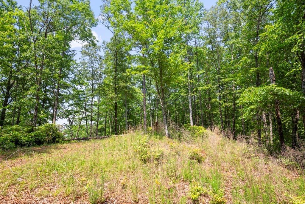 113 White Tree Ridge, Sunset, South Carolina image 7