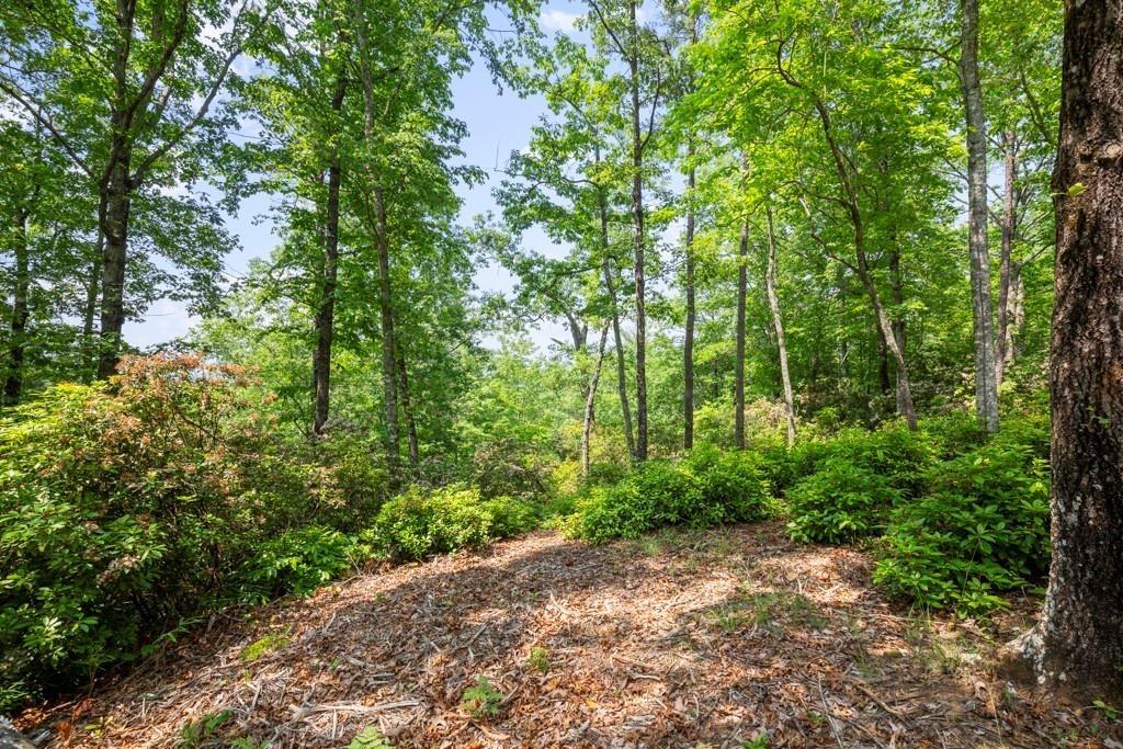 113 White Tree Ridge, Sunset, South Carolina image 16