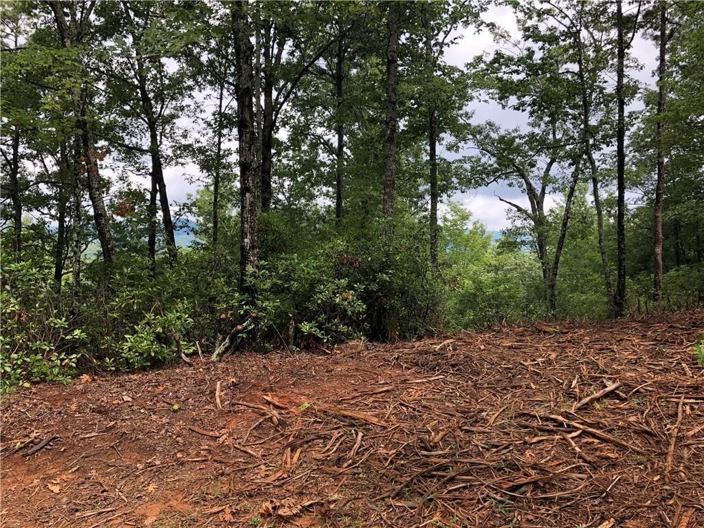 113 White Tree Ridge, Sunset, South Carolina image 13