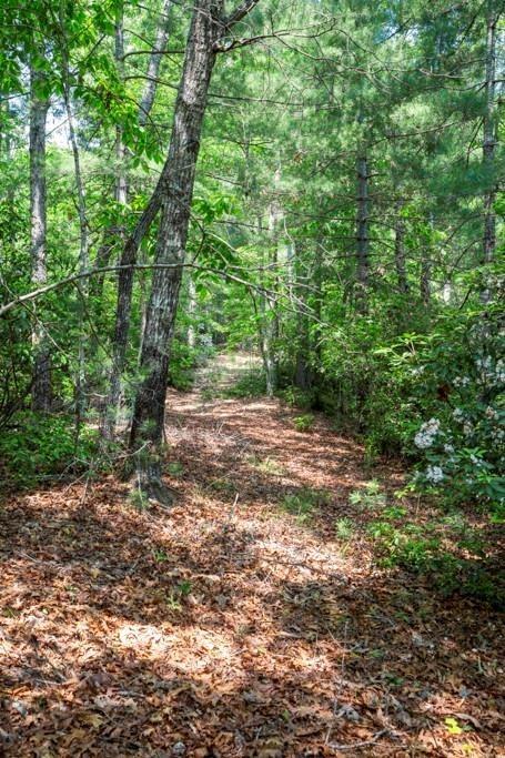113 White Tree Ridge, Sunset, South Carolina image 6
