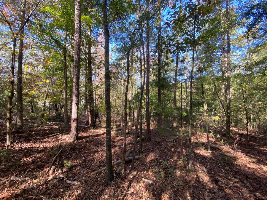 Parkertown Heights Road, Hartwell, Georgia image 7