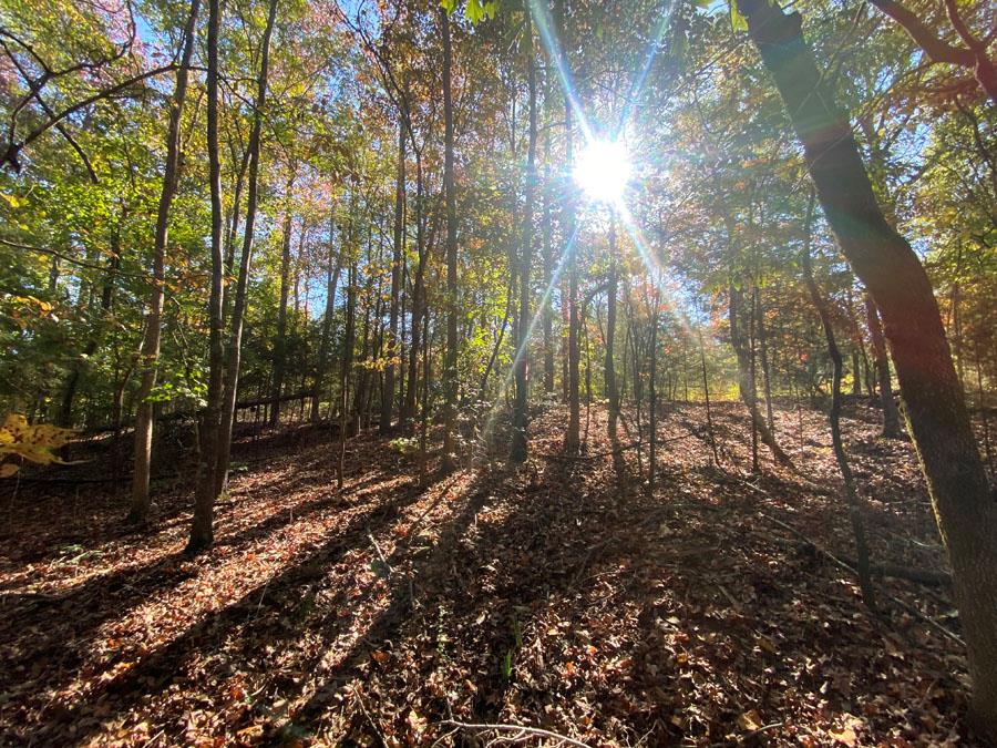 Parkertown Heights Road, Hartwell, Georgia image 3