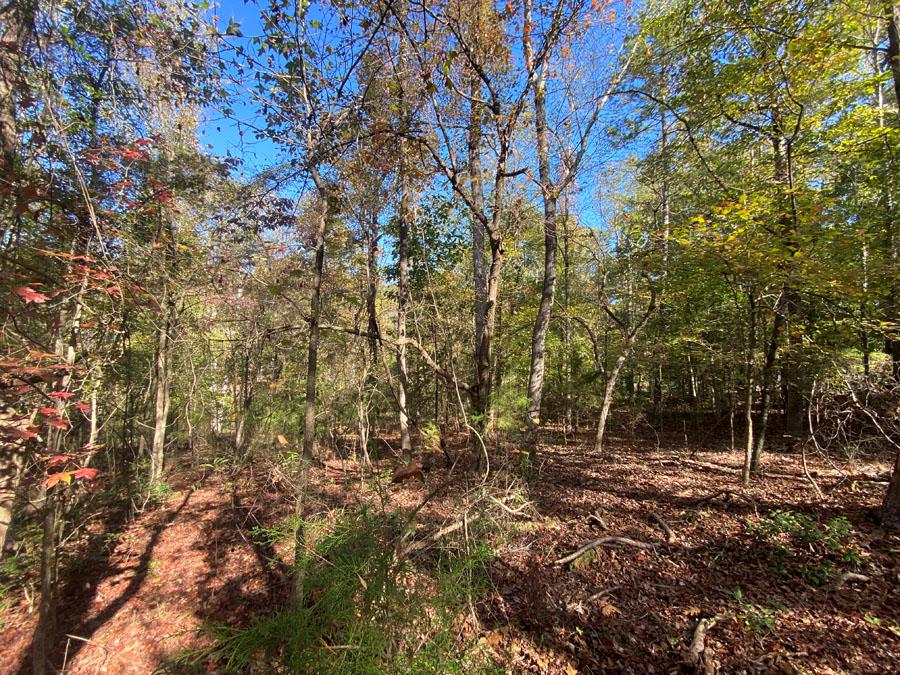 Parkertown Heights Road, Hartwell, Georgia image 6