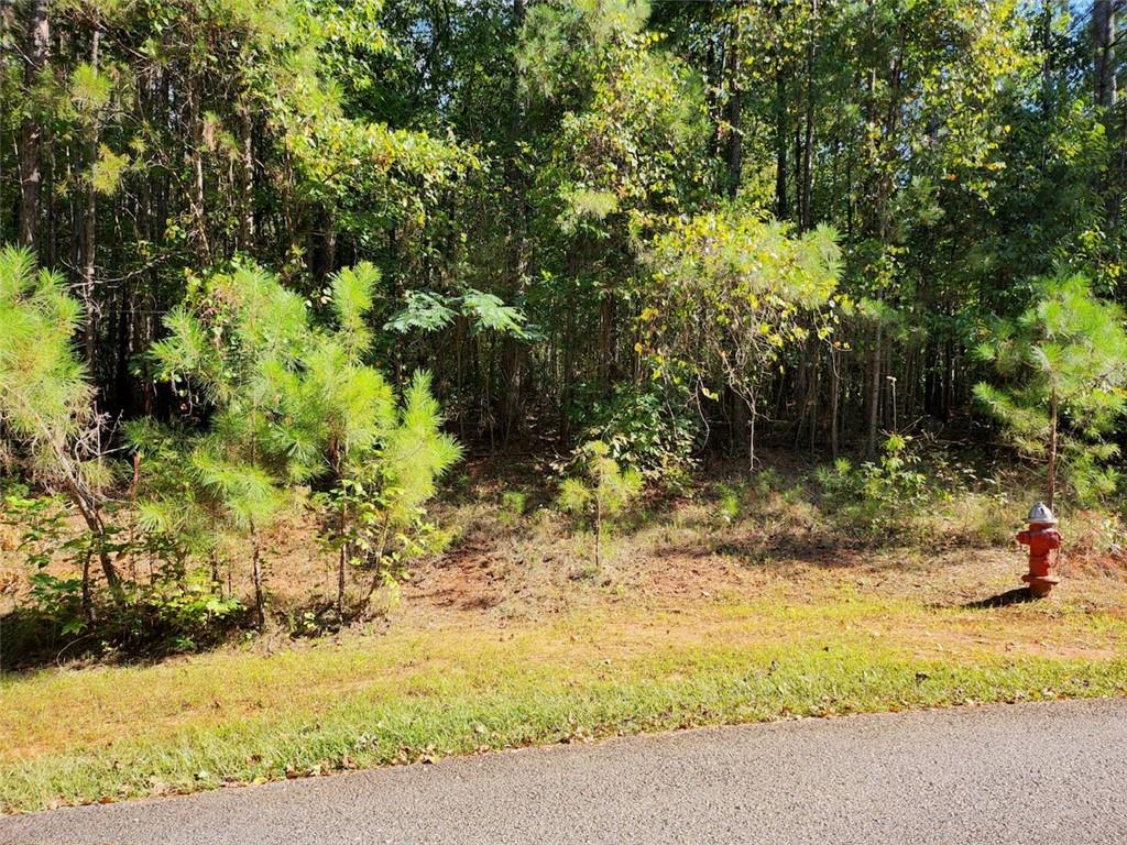 Lot 27 Heritage Shores, Fair Play, South Carolina image 1