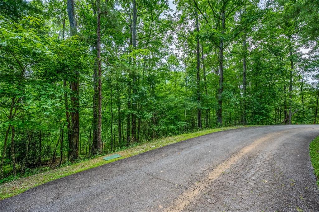 229233 Cedar Creek Circle, Sunset, South Carolina image 10