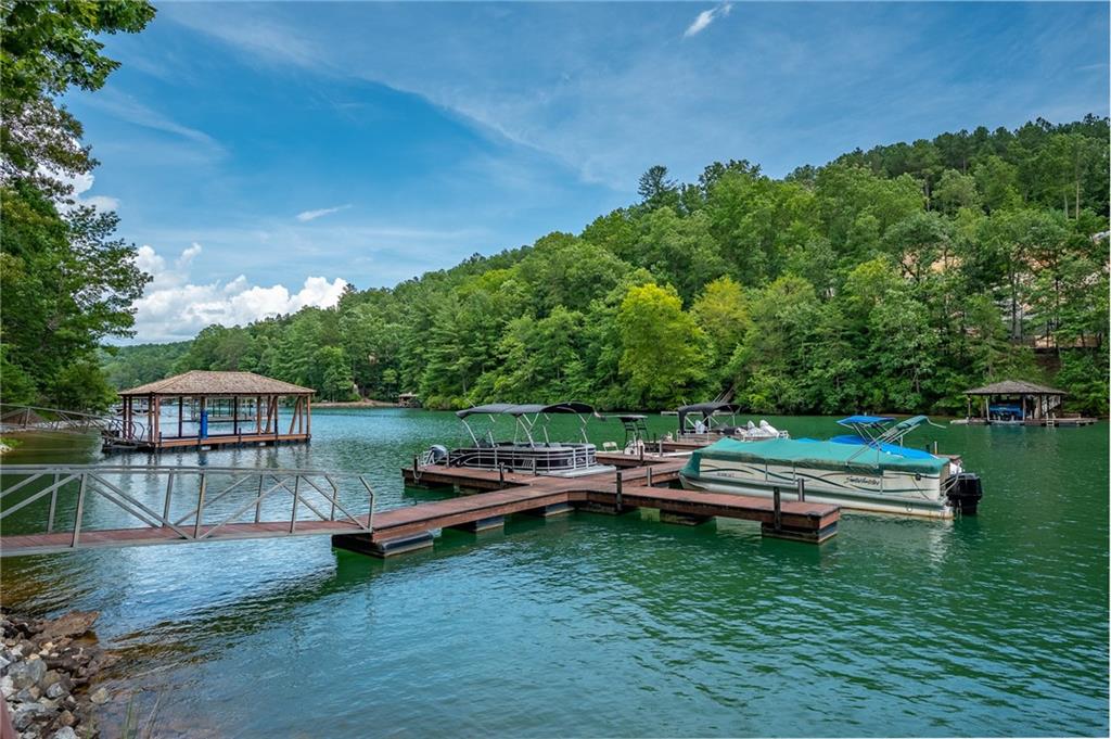 229233 Cedar Creek Circle, Sunset, South Carolina image 20