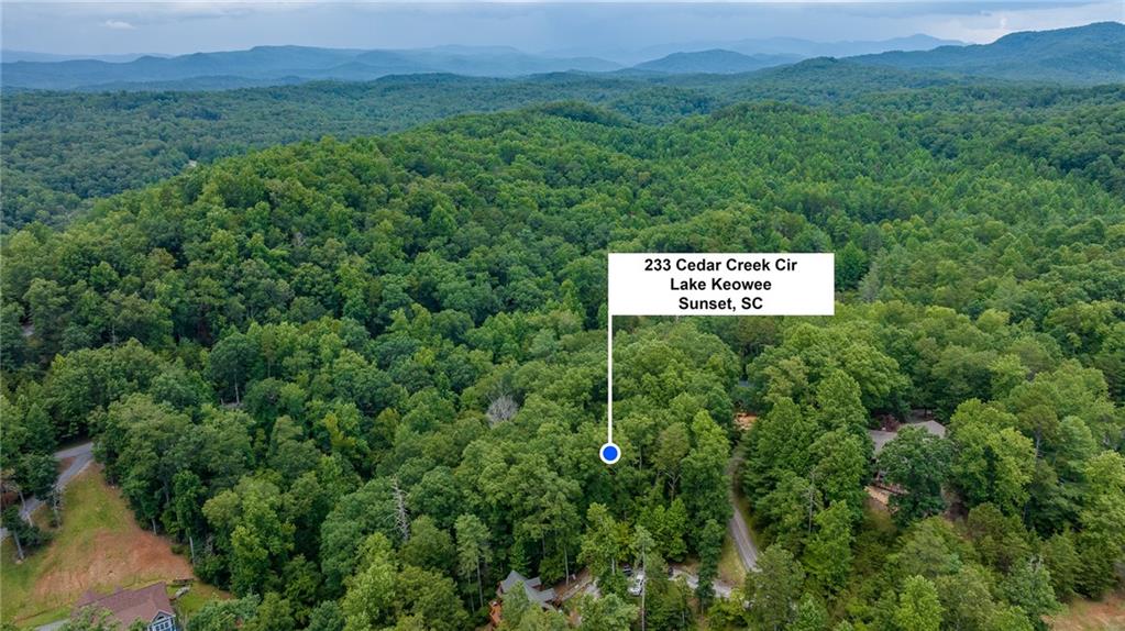 229233 Cedar Creek Circle, Sunset, South Carolina image 1