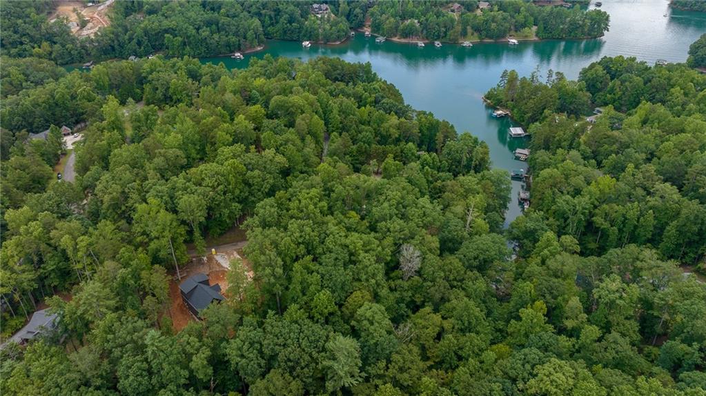 229233 Cedar Creek Circle, Sunset, South Carolina image 11