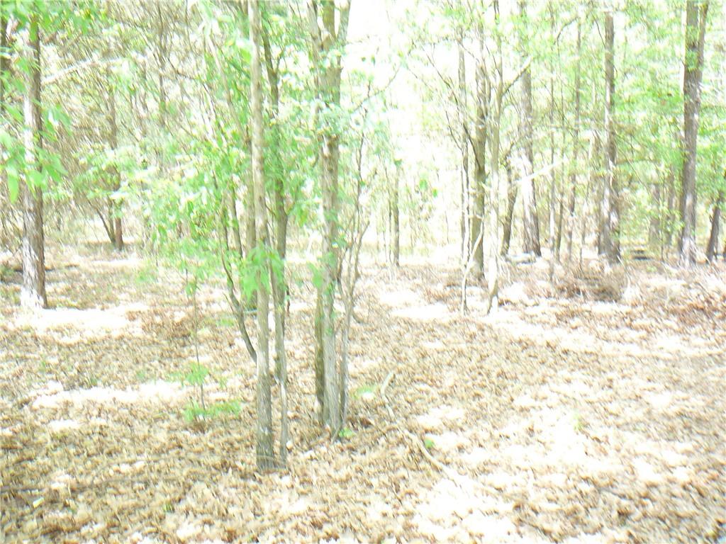 656 Masters Boulevard, Anderson, South Carolina image 10