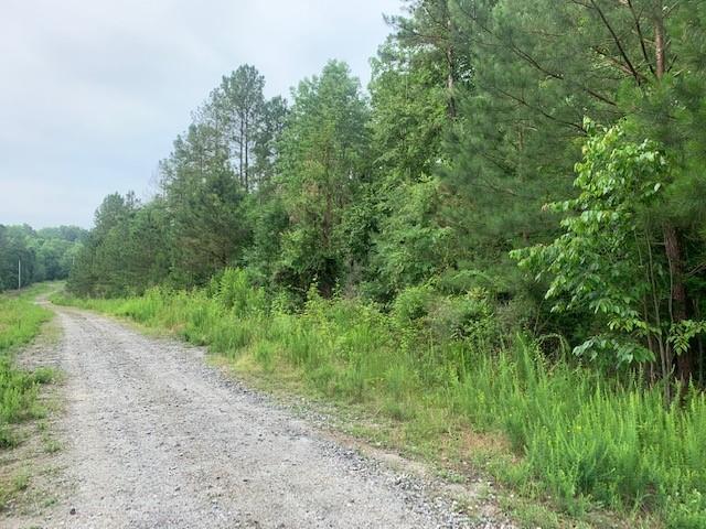 Lot 5 Wilson Creek Drive, Iva, South Carolina image 7