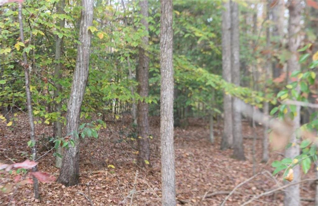 00 Honey Creek Road, Anderson, South Carolina image 2