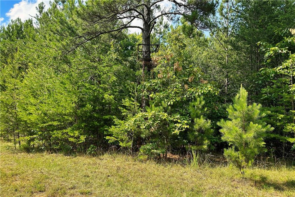 00 Old Landfill Road, Iva, South Carolina image 28