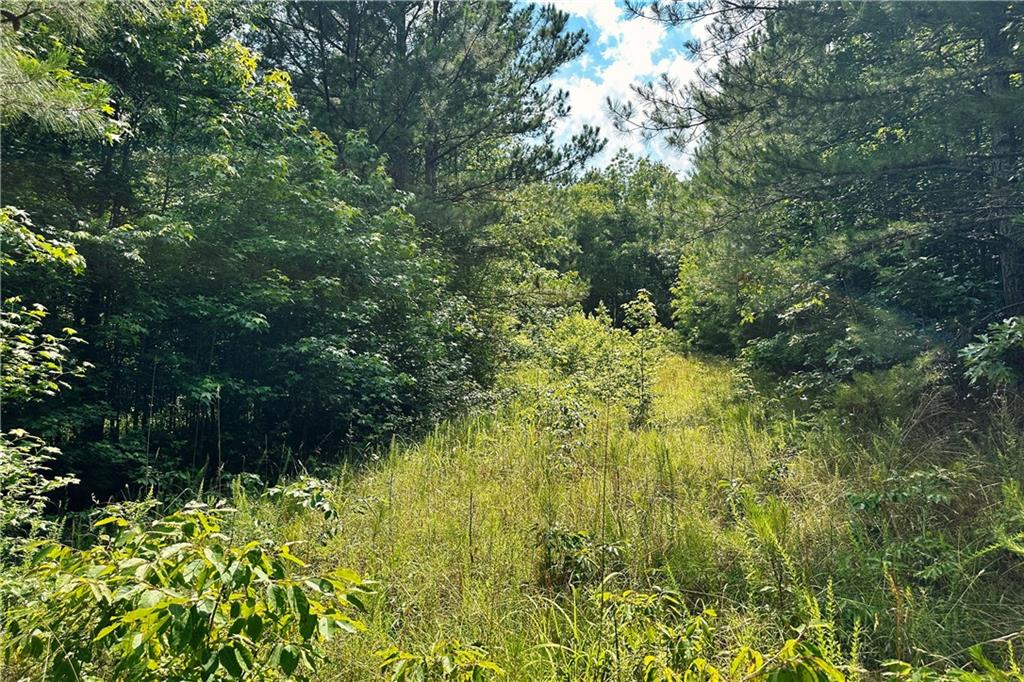 00 Old Landfill Road, Iva, South Carolina image 12