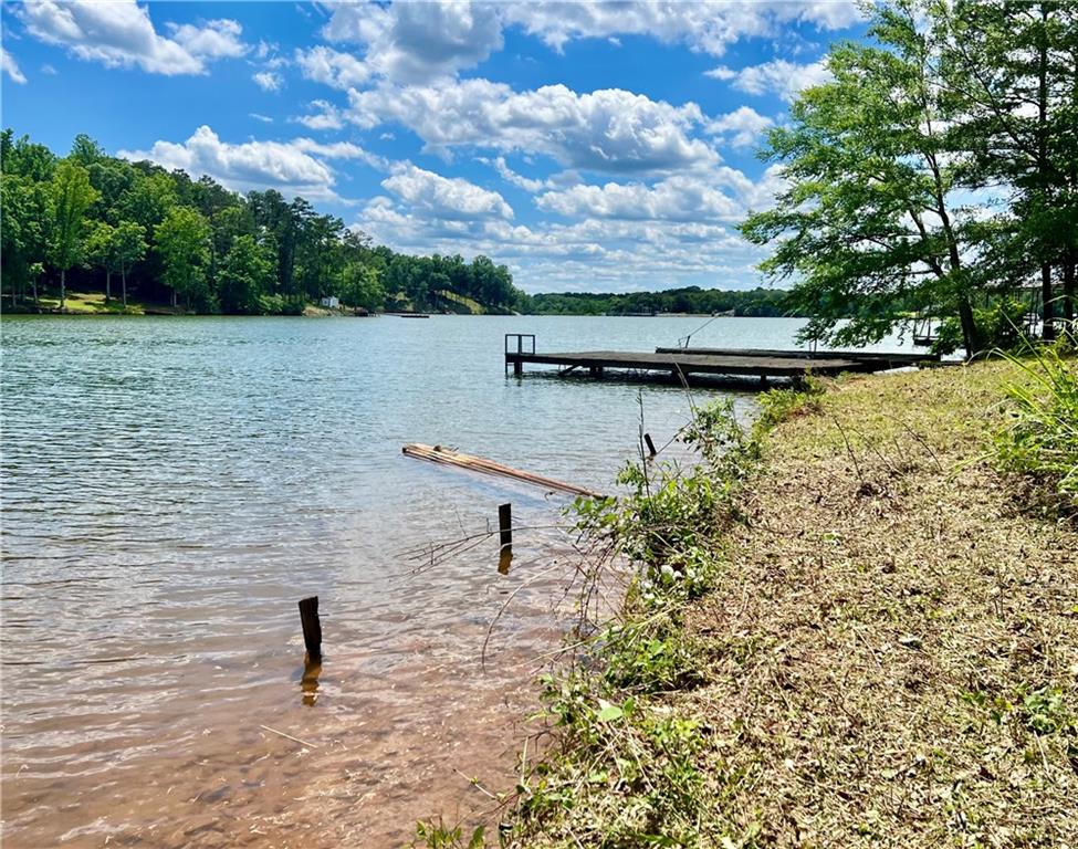 369 Paradise Point, Abbeville, South Carolina image 13