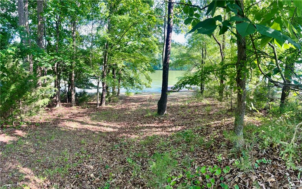 369 Paradise Point, Abbeville, South Carolina image 27