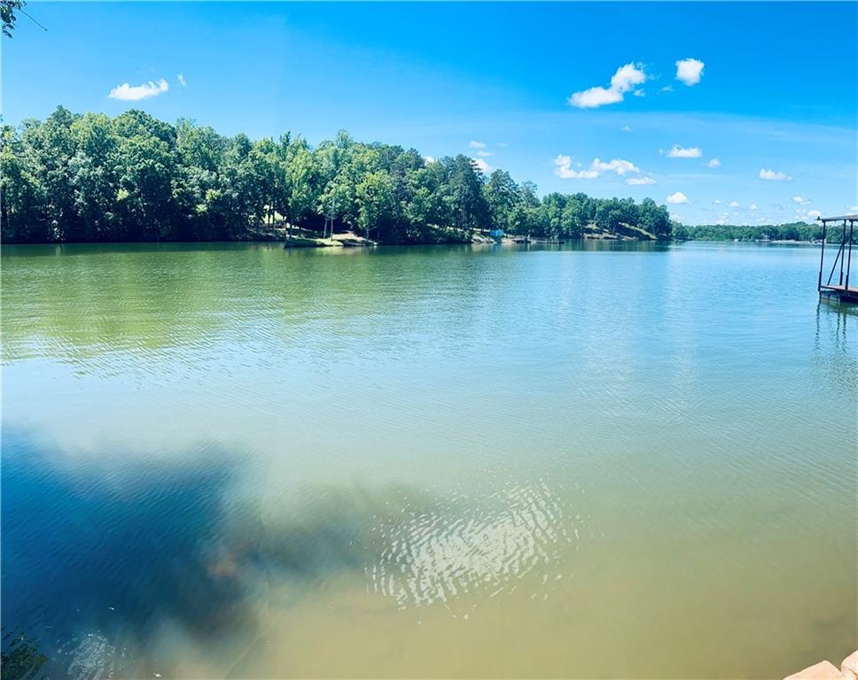 369 Paradise Point, Abbeville, South Carolina image 3