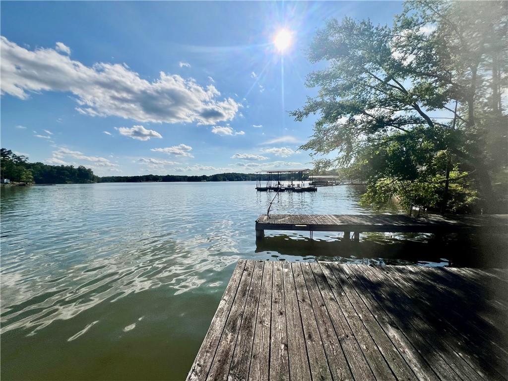 369 Paradise Point, Abbeville, South Carolina image 19