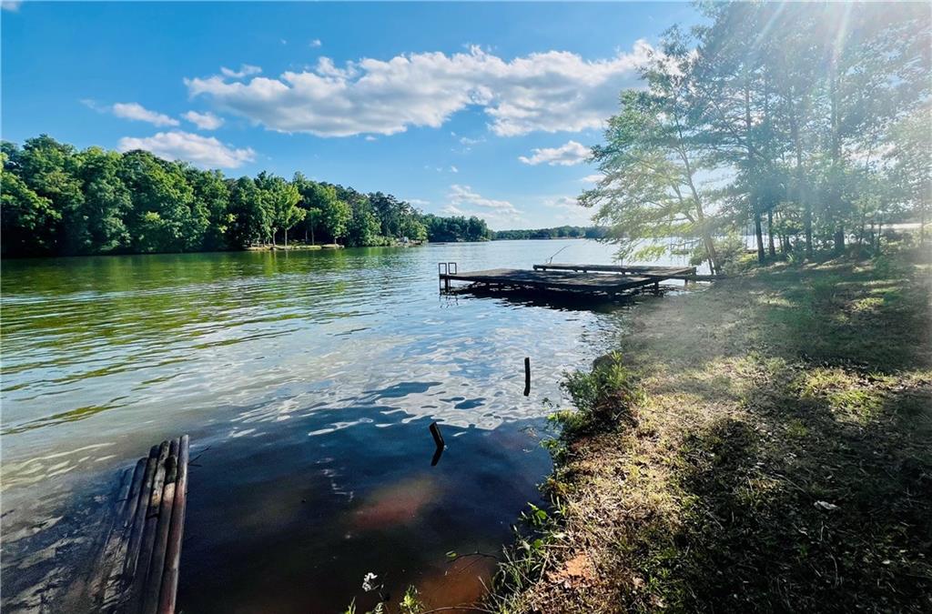 369 Paradise Point, Abbeville, South Carolina image 23