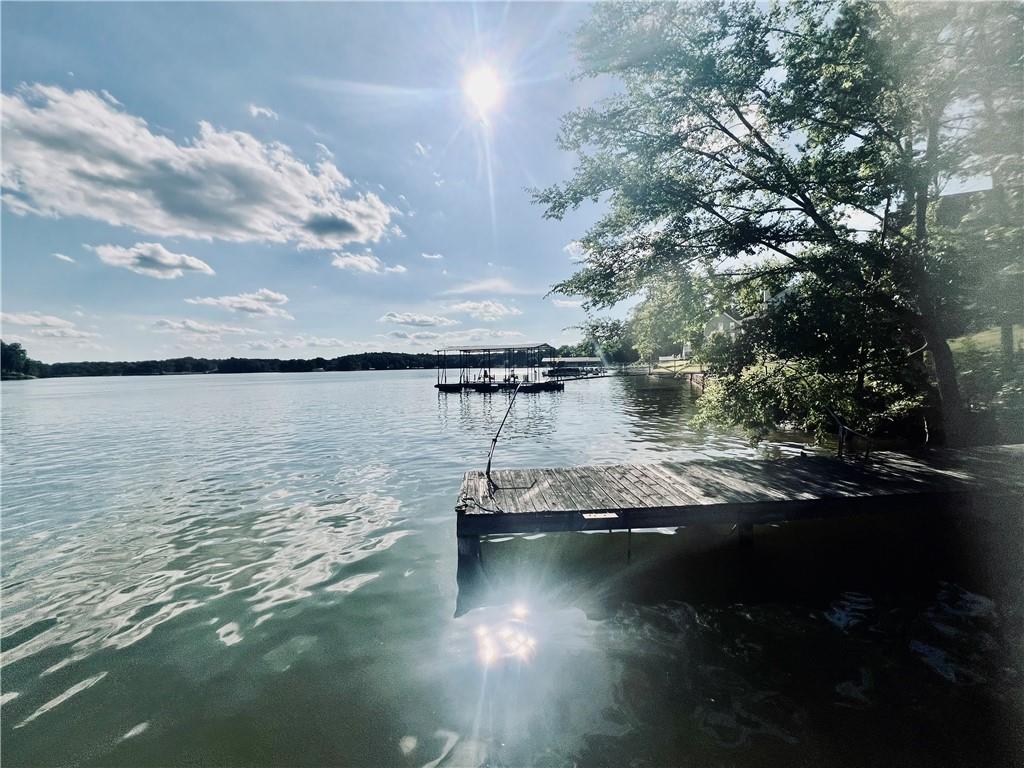 369 Paradise Point, Abbeville, South Carolina image 18