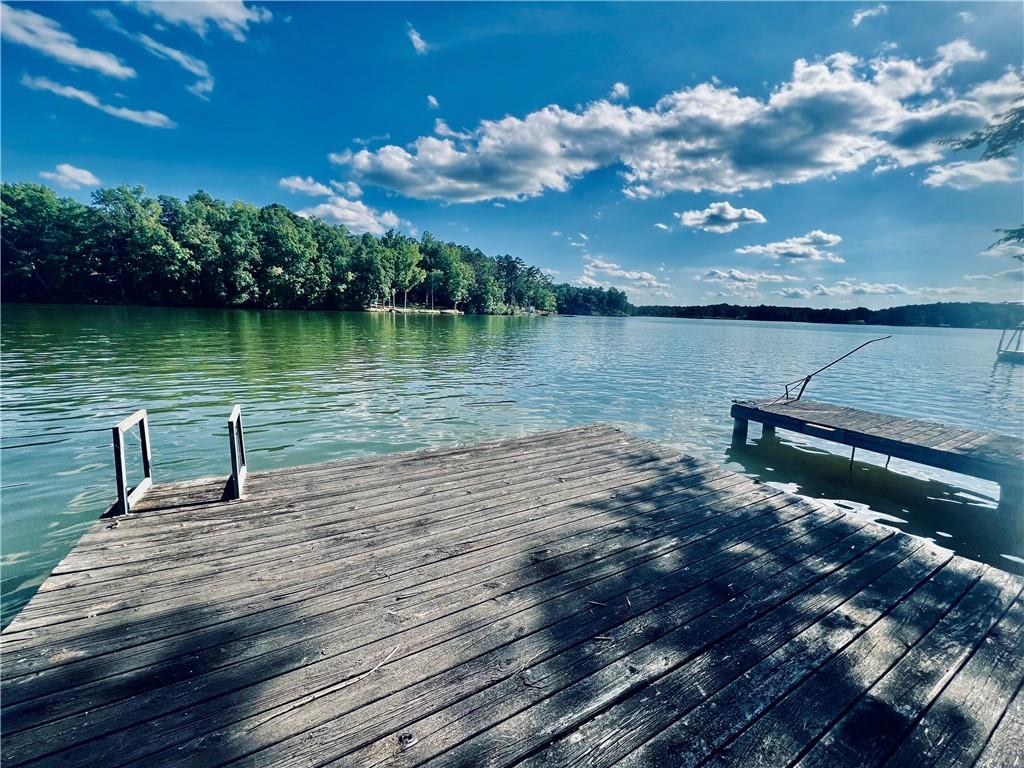 369 Paradise Point, Abbeville, South Carolina image 21