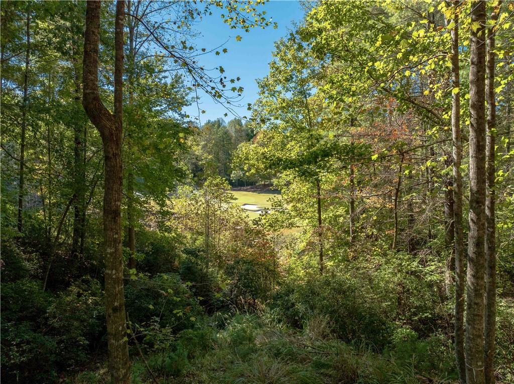 118 Club Cove Way, Sunset, South Carolina image 9