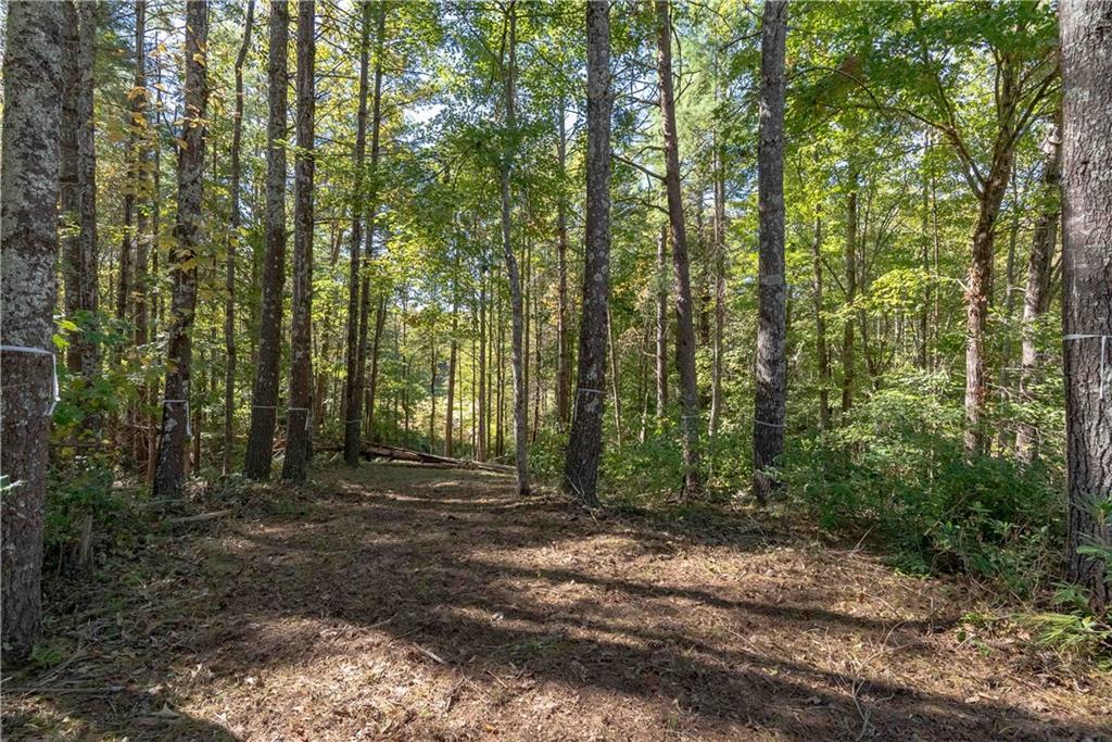 118 Club Cove Way, Sunset, South Carolina image 11