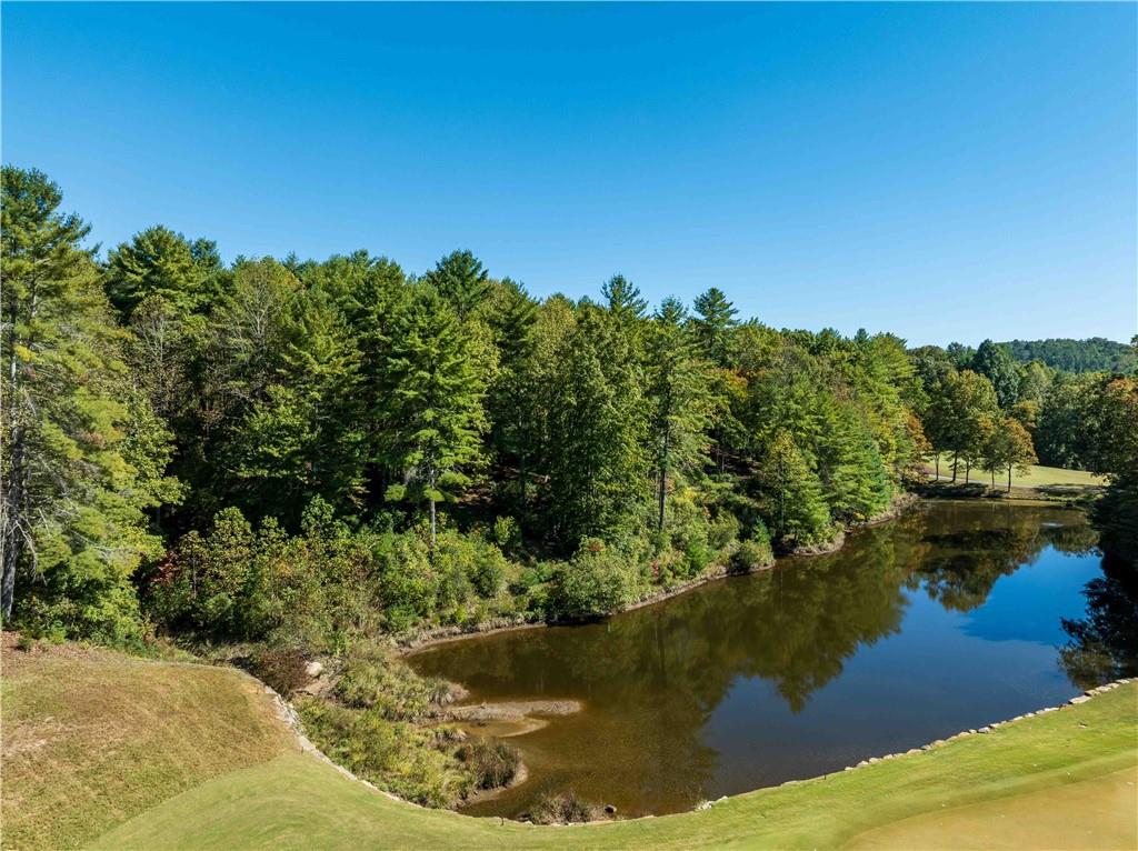 118 Club Cove Way, Sunset, South Carolina image 5