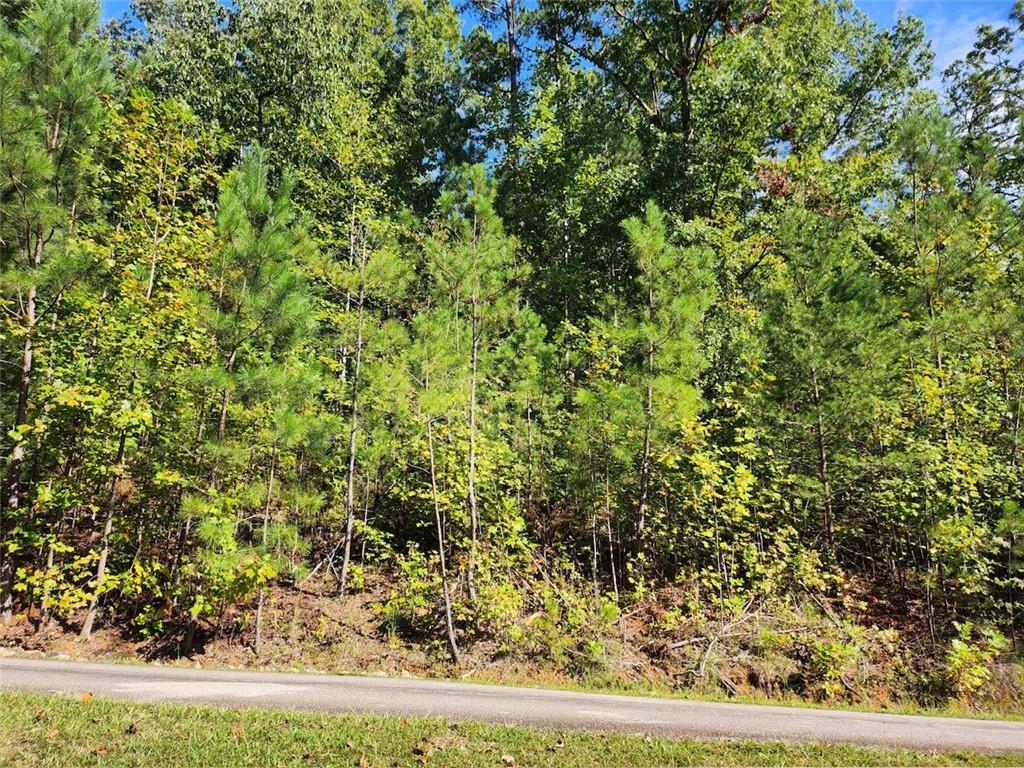 Lot 25 Heritage Shores, Fair Play, South Carolina image 1
