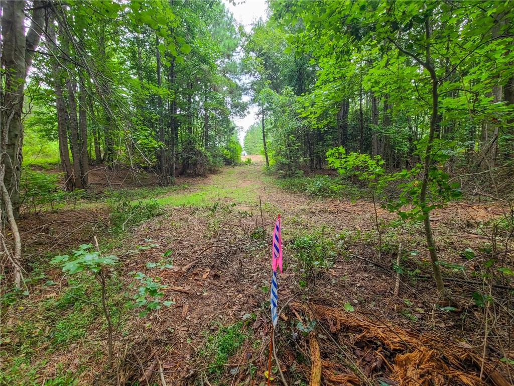 0 Lot 15 Dunklin Bridge Road Road, Fountain Inn, South Carolina image 35